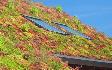 Writtle living roof systems